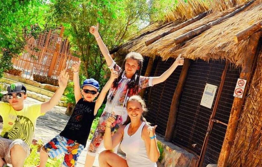 Grand Aquarium Hurghada With Private Transfer